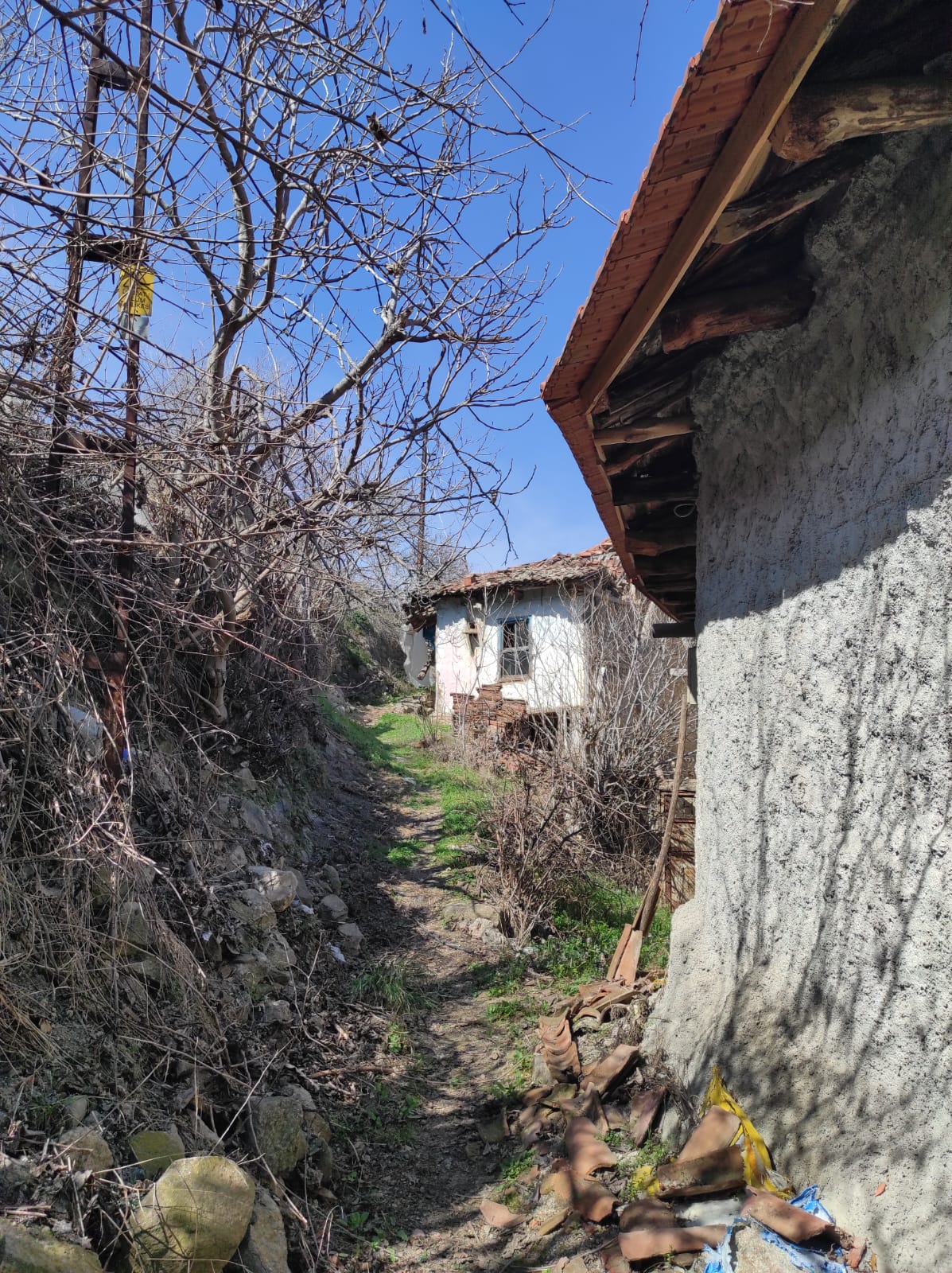 BİLECİK SÖĞÜT ÇALTI SATILIK TARLA EV  - BİLECİK SÖĞÜT fotoğraf 8